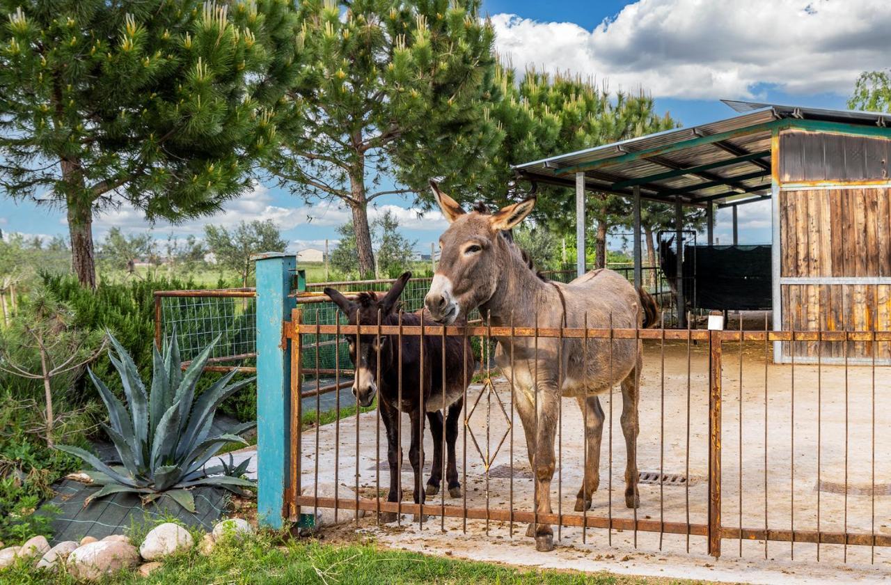 Relais Ca' Maddalena Villa วิลลาฟรันกา ดี เวโรนา ภายนอก รูปภาพ